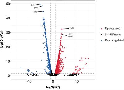 Transcriptomic Responses of Salmonella enterica Serovars Enteritidis in Sodium Hypochlorite